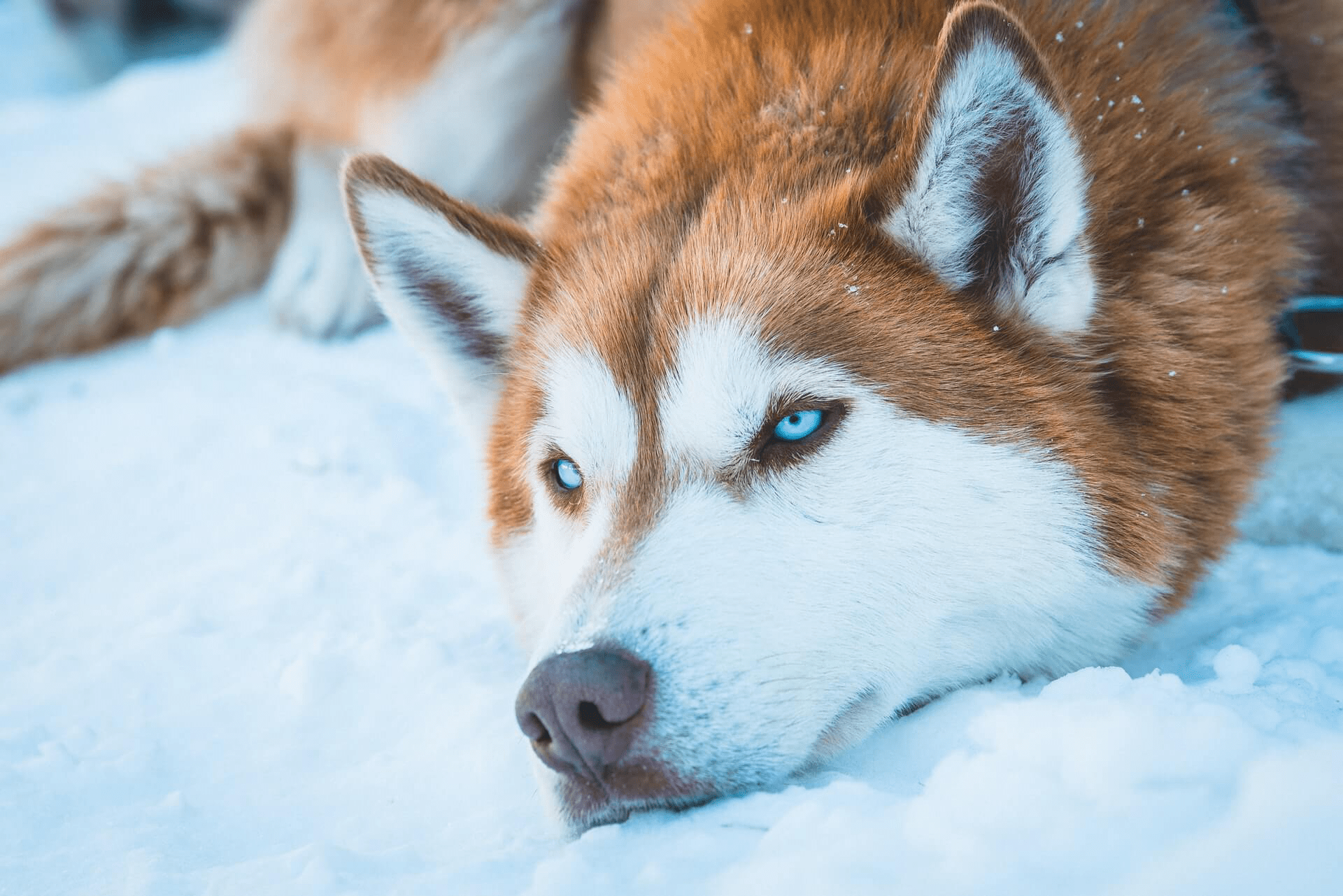 Quarantine reading list: nature edition